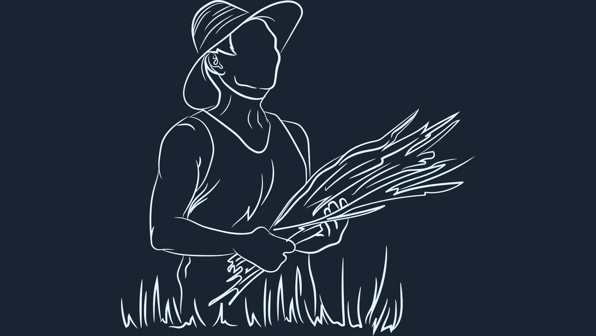 WTF is happening in rural news?