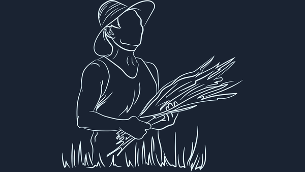 WTF is happening in rural news?